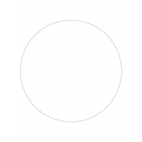 30021 - Label Size 300mm dia - 1 label(s) per sheet
