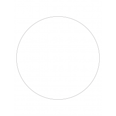 30021 - Label Size 300mm dia - 1 label(s) per sheet 