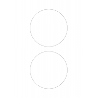 30025 - Label Size 160mm dia - 2 label(s) per sheet