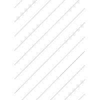 30027 - Backslit - 12 (45° Angle) Slit - Diagonal (60mm apart - Centred)