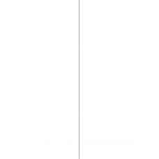 30064 - Backslit - 1 LE Slit - 420 long (Centred) 