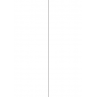 40412 - Label Size 105mm x 295.2mm - 2 label(s) per sheet