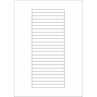 40588 - Label Size 100mm x 10mm - 24 label(s) per sheet