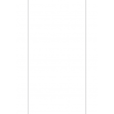 40710 - Label Size 150mm x 295.275mm - 1 label(s) per sheet 