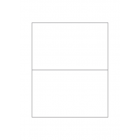 40791 - Label Size 160mm x 100mm - 2 label(s) per sheet