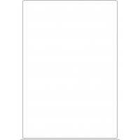 10862 - Label Size 210mm x 303mm - 230 labels per roll